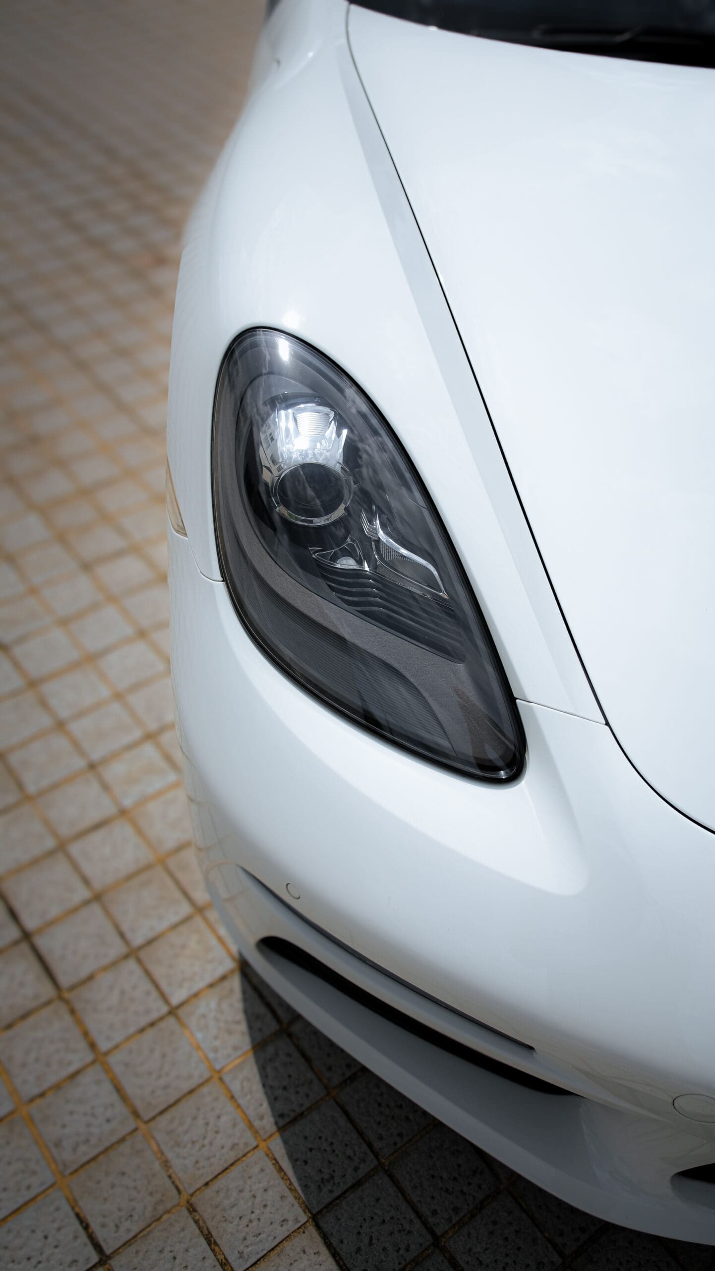 8938bdef-7701-40c8-b2ee-758cc68c70c8