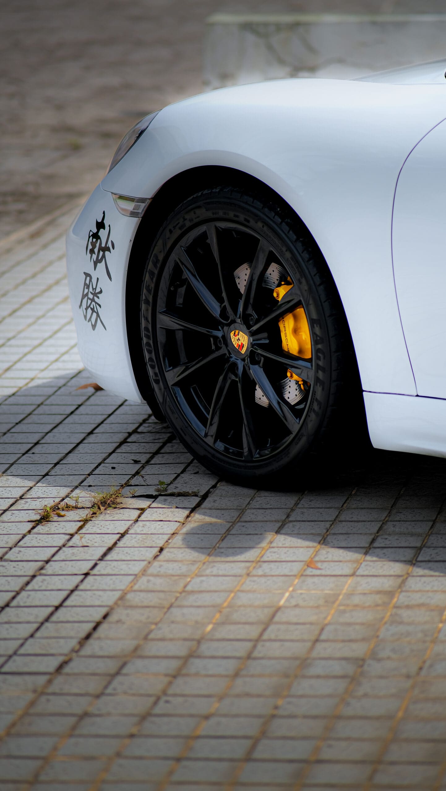 980f5538-43f0-4e29-ae26-64fde21041db